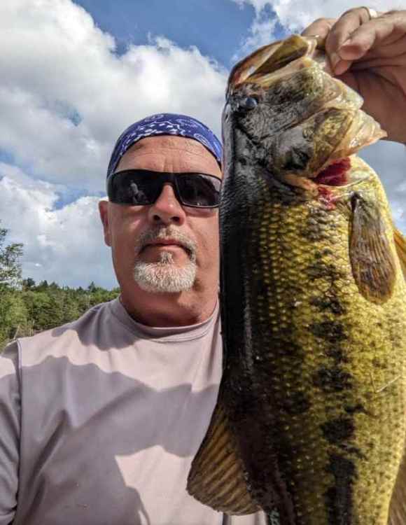 Bass7.jpg
