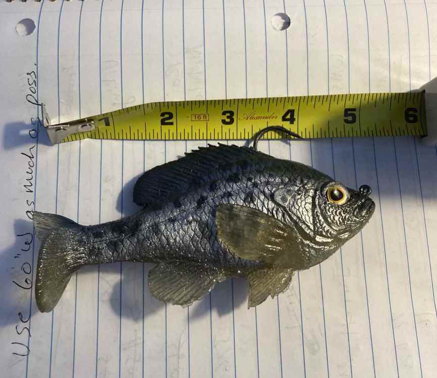 Crappie.JPG