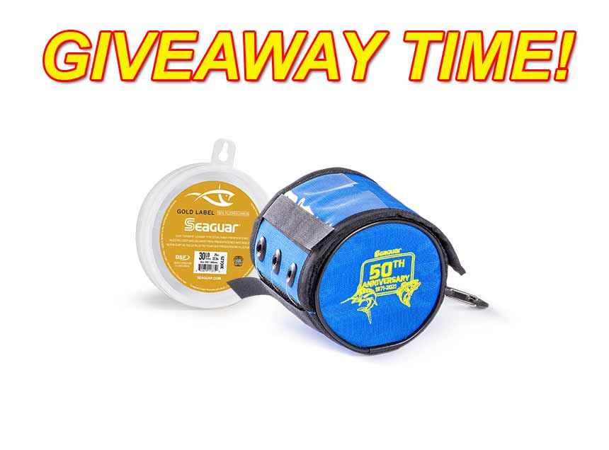 Gold-announce-Giveaway-home.jpg
