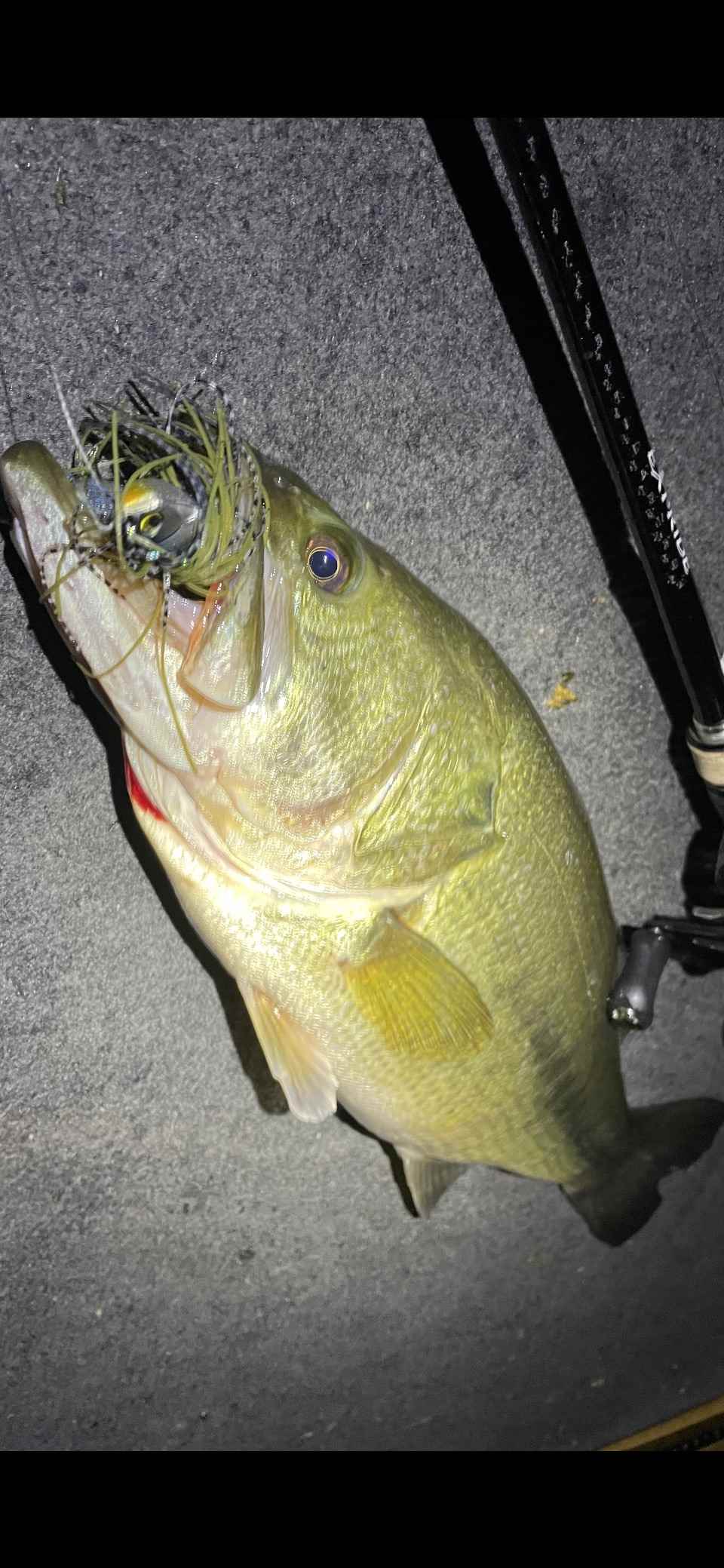Swim Jig Heads - Calling on Experts - Fishing Tackle - Bass Fishing Forums