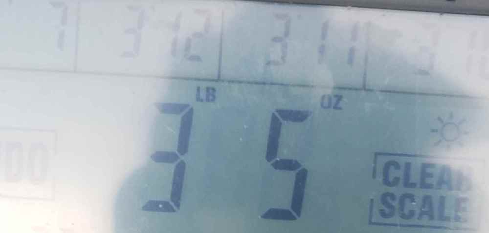 Resizer_16586804383793.jpeg