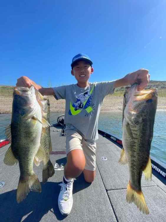 bass.jpg