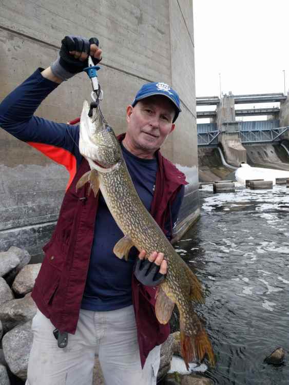 1215480869_muskie031.thumb.jpg.e1fcaa2efada462b98bb010440fcb6f5.jpg