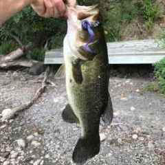 Recommend a drop shot rod - Fishing Rods, Reels, Line, and Knots - Bass  Fishing Forums