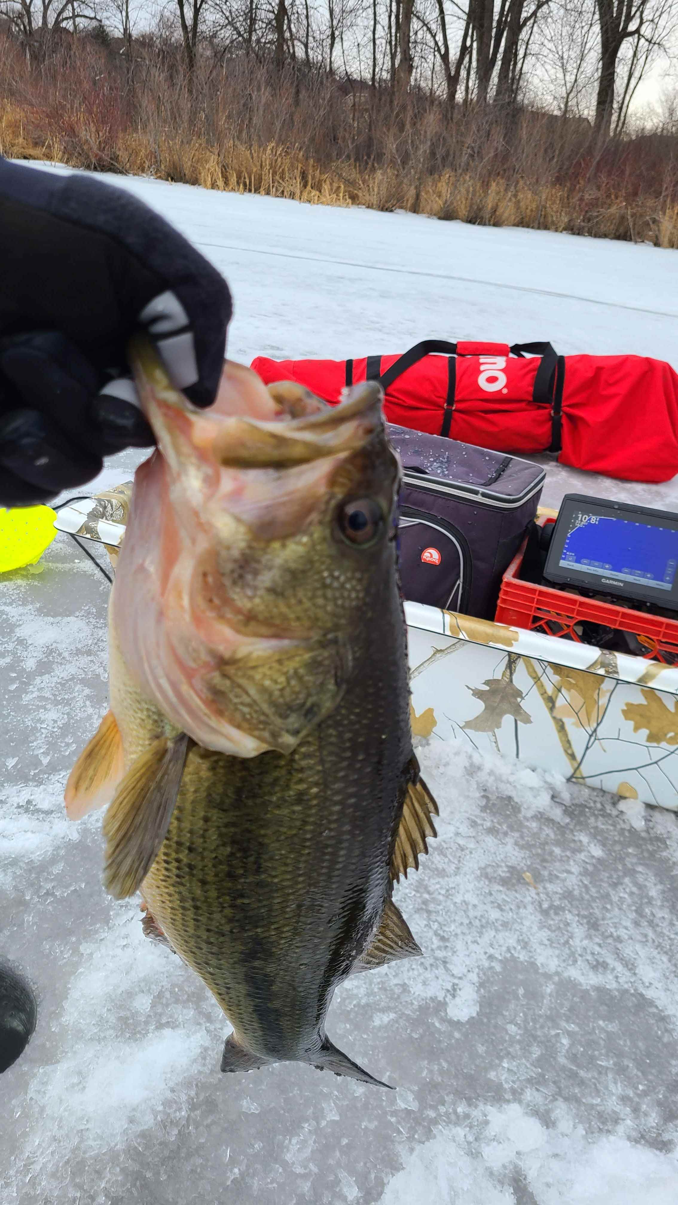 Ice Fishing Bass - In-Fisherman