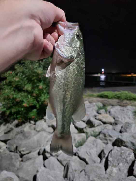 20220818_002410.jpg