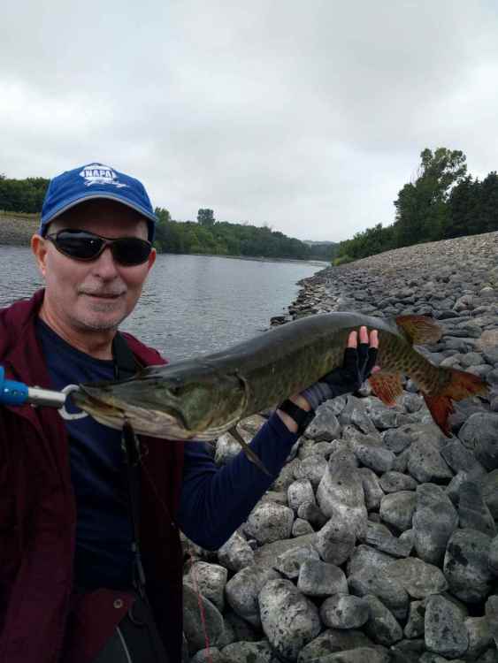24253107_muskie038.thumb.jpg.d2b4da20e6728be12332a640898d6bc4.jpg