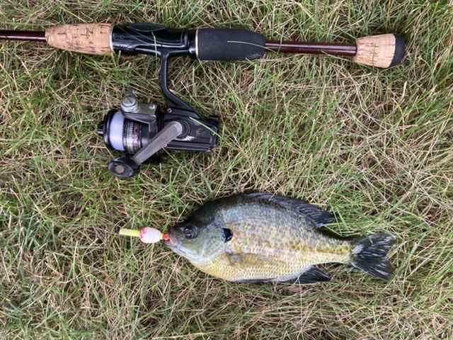 Do you have an all time favorite fishing reel? - Fishing Rods, Reels, Line,  and Knots - Bass Fishing Forums