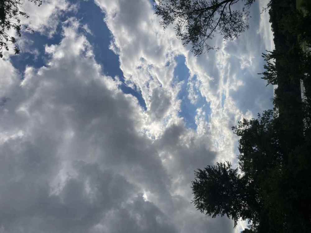 9FAF4211-B2F9-47B0-B89C-0E6A1B4EAD61.jpeg