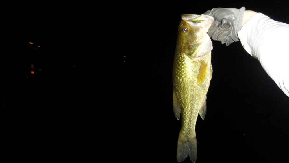 DSC04389444444.jpg
