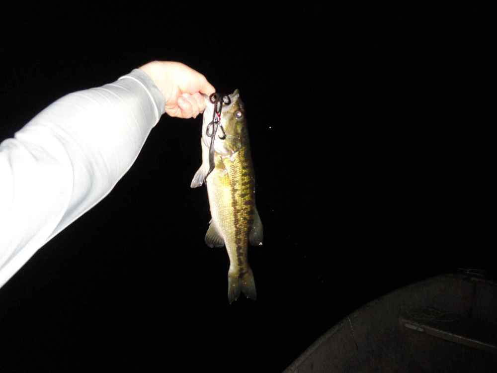 DSC04426555.jpg