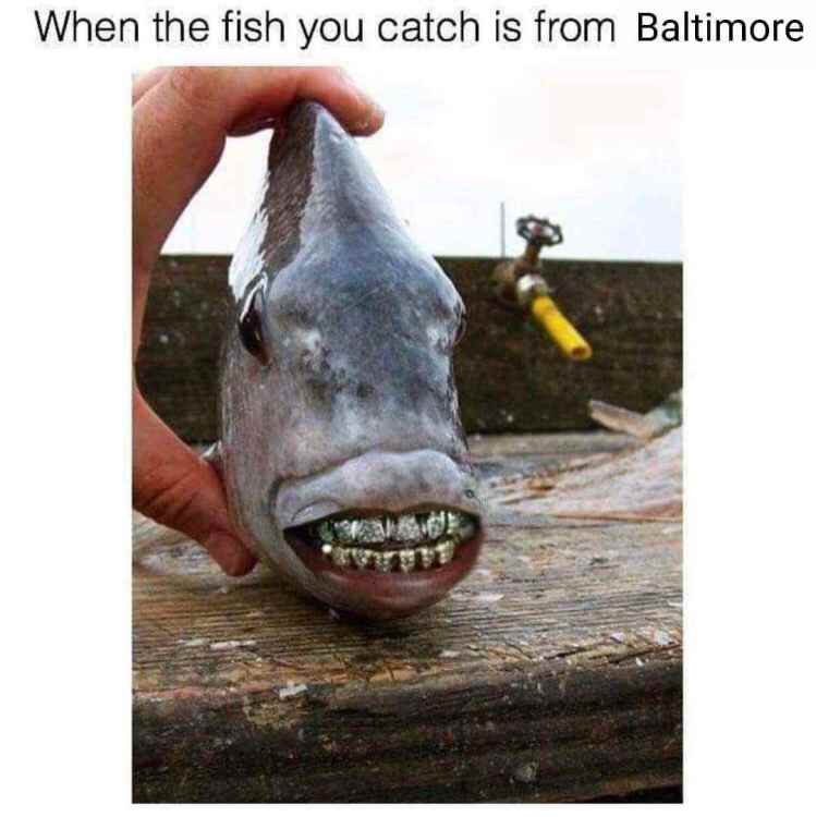 FB_IMG_1660610367990.thumb.jpg.bad9621b189c96b559d3cf1615f7a8e6.jpg