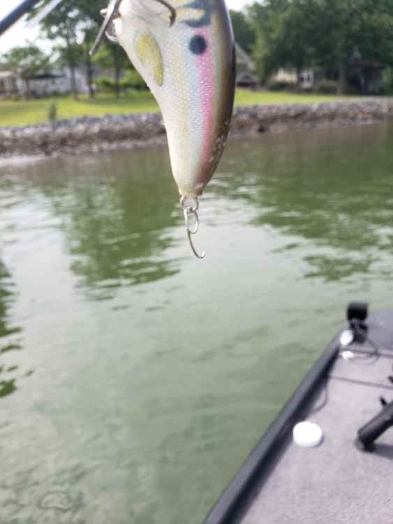 Resized_20220611_104512.jpeg