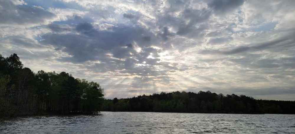 Screenshot_20220803-205143_Gallery.jpg