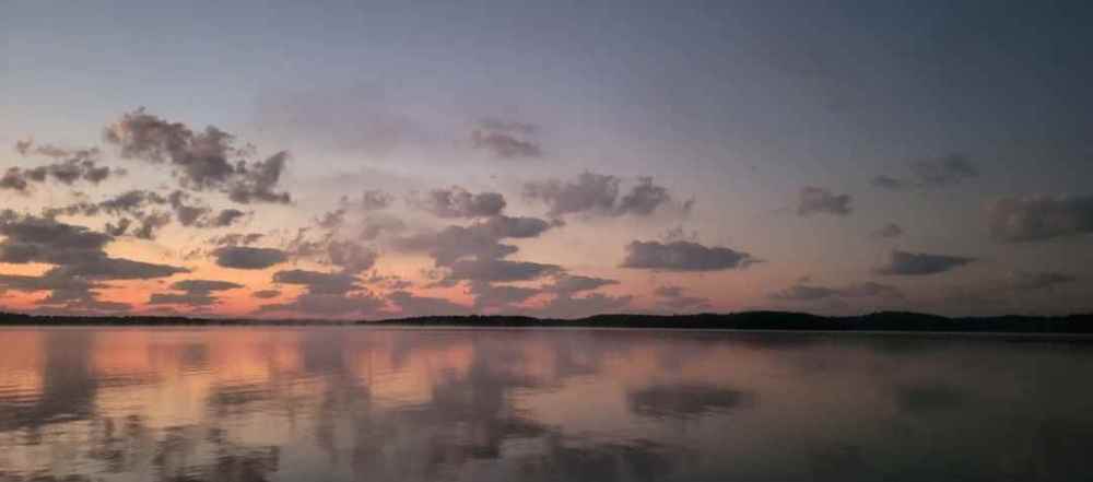 Screenshot_20220803-210133_Gallery.jpg