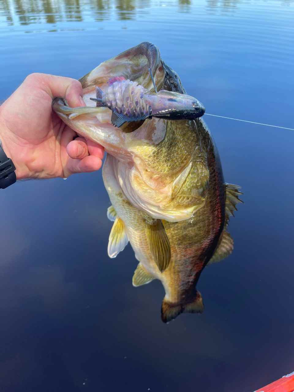 How are you guys rigging the gilly to swim straight - Fishing Tackle - Bass  Fishing Forums