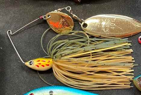 spinnerbait.jpg.d51f5c1739c3aa369db499b9e832deef.jpg