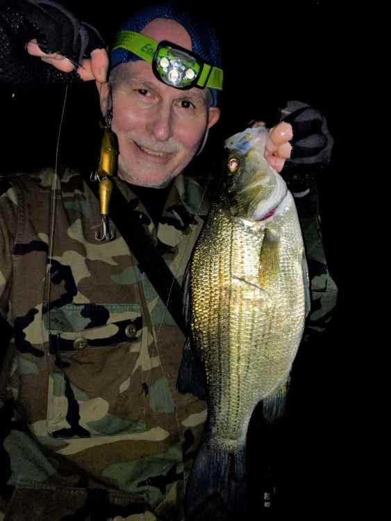 1574542798_rattletrapmuskie020(2).thumb.jpg.013371388dcc6d2f51c0c542019d9111.jpg
