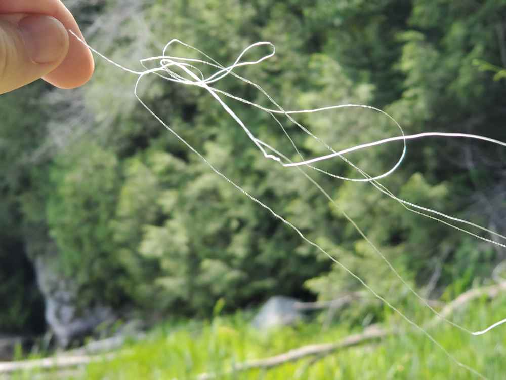 20220810_133447.jpg