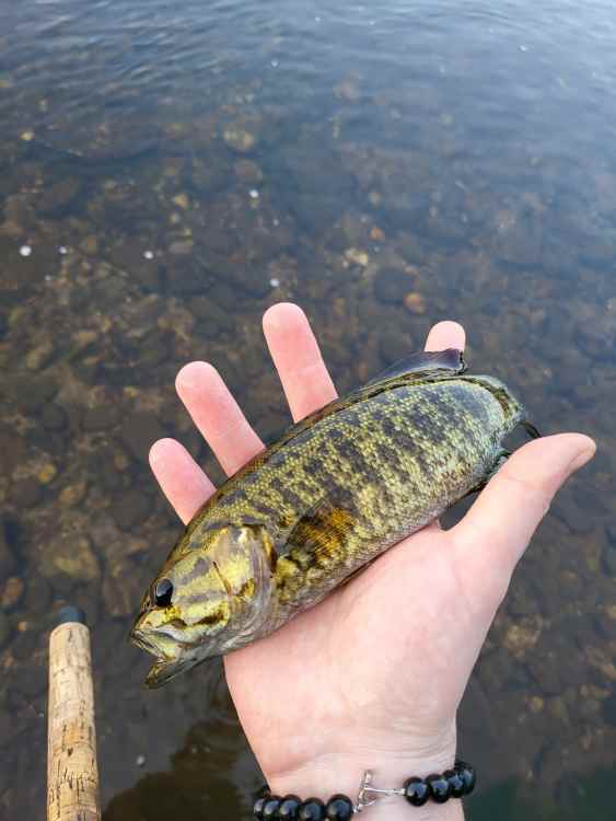 20220907_182510.jpg