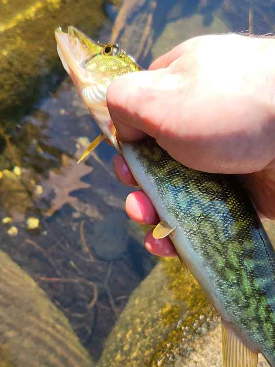 20220909_140720.jpg
