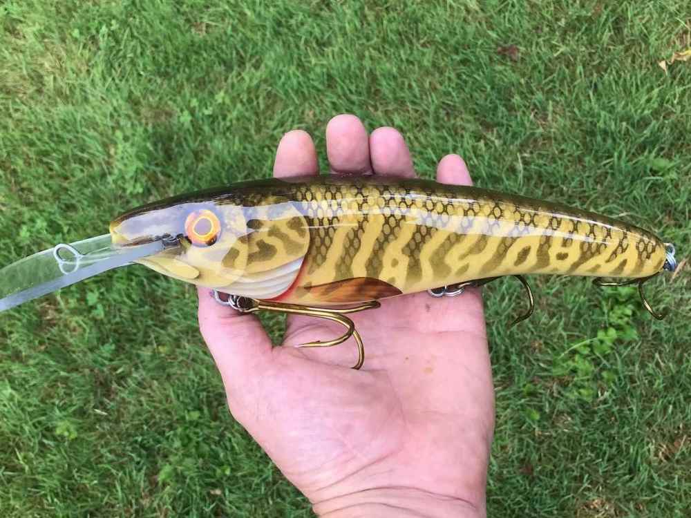 10 inch baits11.JPG