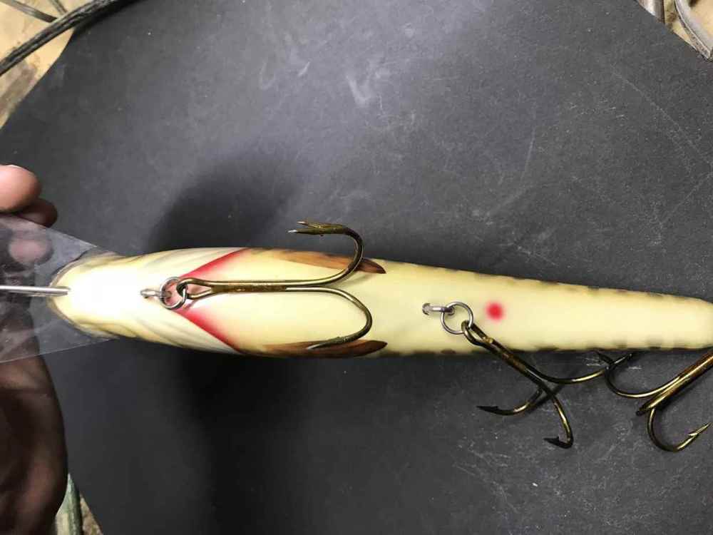 10 inch baits8.JPG