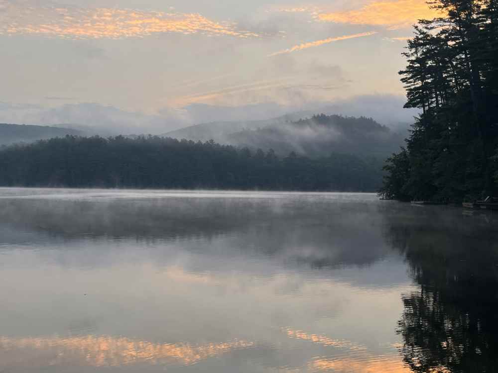 60003ADE-26F8-4AD9-92C0-9C7354575199.thumb.jpeg.71302a686e7322ba73f9ac1ac142cac6.jpeg