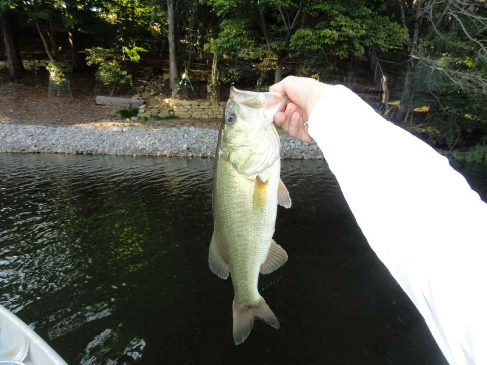 DSC0455877666.JPG