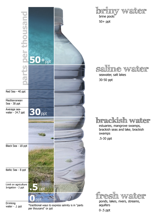 Water_salinity_diagram.thumb.png.a258f7fc8dc22698d6af51a8038f40fd.png