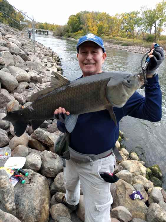 1352637_carp027.thumb.jpg.286798c24fde30748c8a2f784b3fb7e4.jpg
