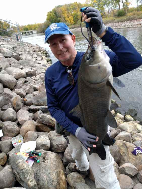 19977570_carp020.thumb.jpg.521acc565f72d8dc08d5d4d273dc82f5.jpg