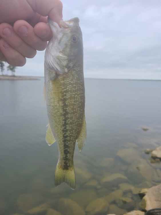 20220522_1039401.thumb.jpg.311ada4a7553684dc575ee1ff84f5b19.jpg