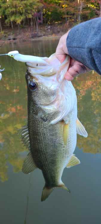 20221021_165515_copy_726x1612.jpg