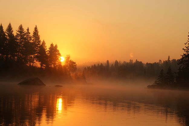 WolfMorning.JPG.730adda0f526f26e500918f92f49f340.JPG