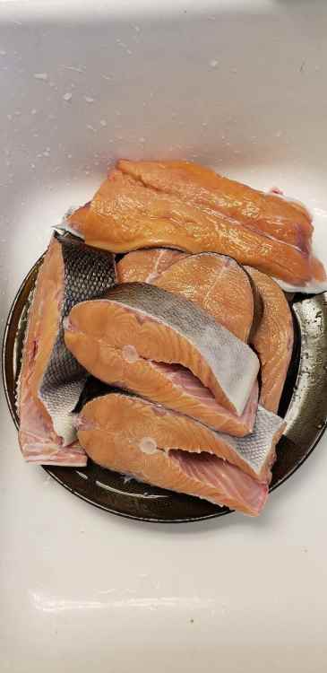coho.thumb.jpg.4bfe910c58211c13c07497f7f147f0bb.jpg