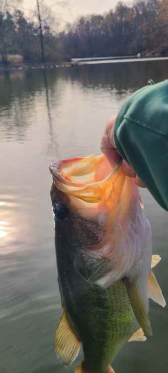 20221120_102934_copy_726x1612.jpg