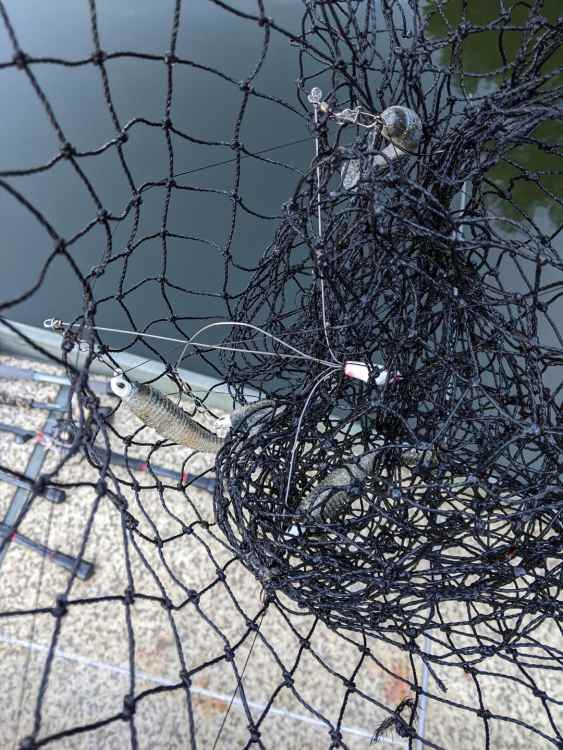270818375_thumbnail-2022-11-09T165352_605.thumb.jpeg.4b310684757f302f9d37e98077e19e47.jpeg