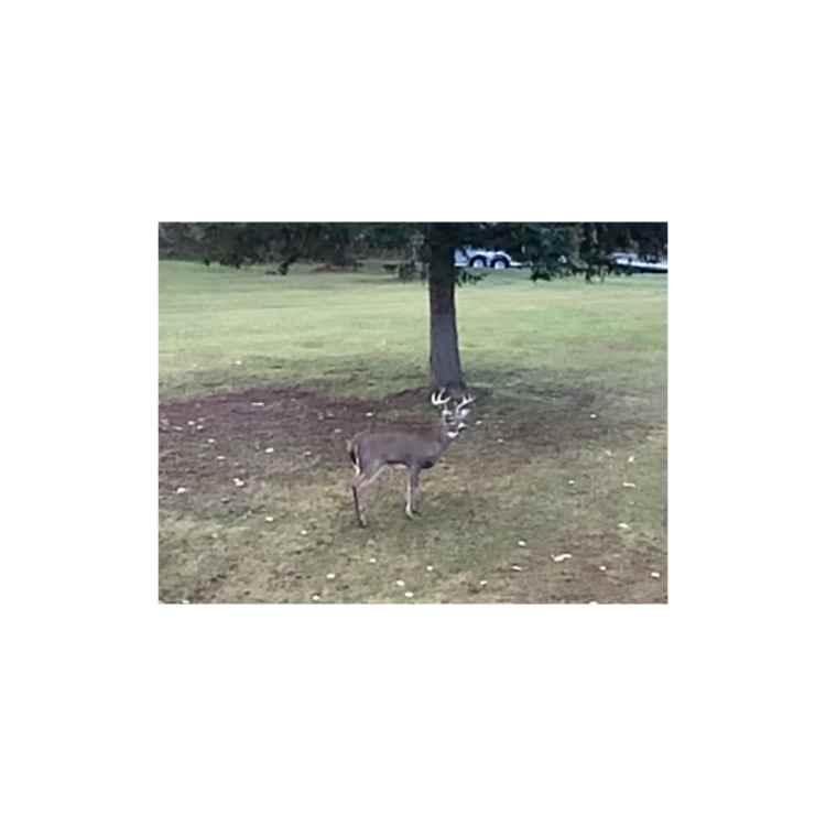 B418E966-1C13-4BA8-BC62-485224859289.thumb.jpeg.f140bb680c5b3ba62da54953e002bc92.jpeg