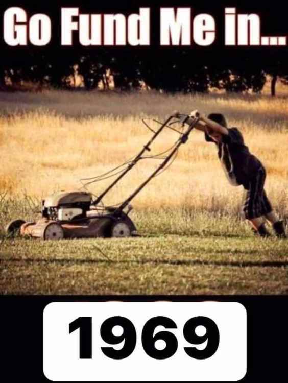 FB_IMG_1667557466457.jpg