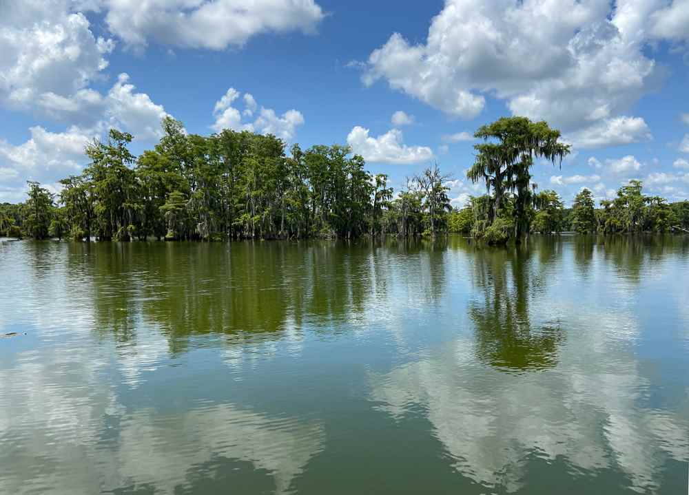 Lake-Martin.jpg