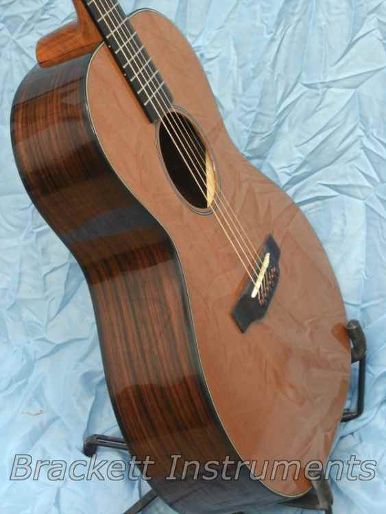 Cedar-Rosewood W body (8).jpg