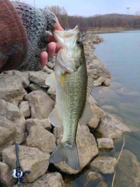 20221209_101248.jpg