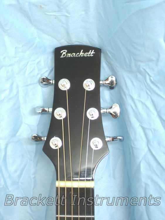 Cedar-Rosewood W body (12).jpg