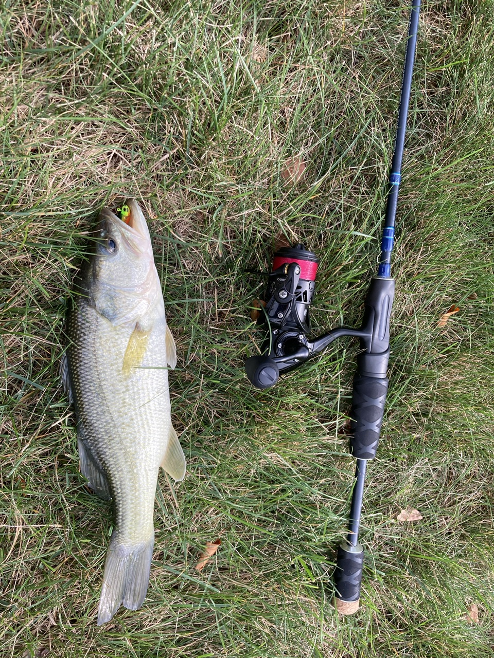 Upgrading my Ultralight (<$100) - Other Fish Species - Bass