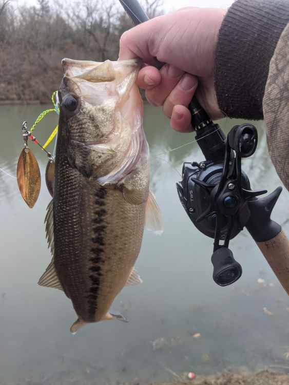PXL_20221211_141847935.thumb.jpg.1f07bf1e42087f26371c70eefac0af80.jpg
