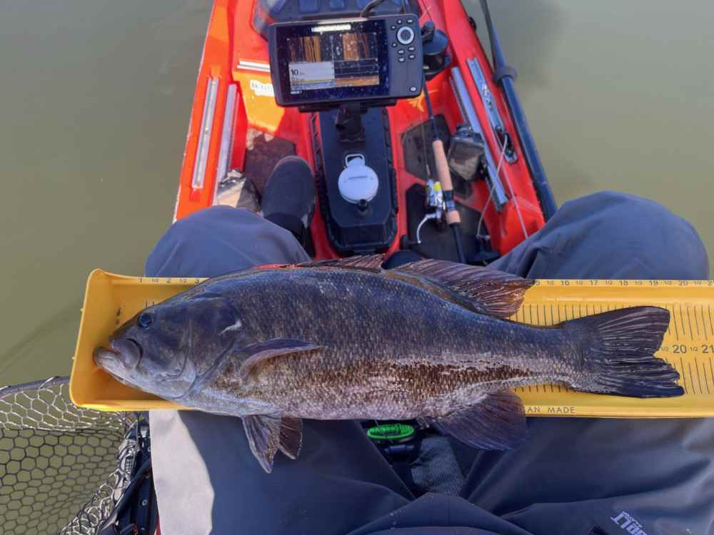 dec20incher4.jpg