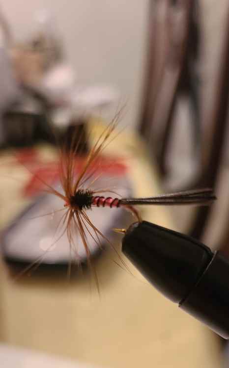 20221229_161903.thumb.jpg.61b9020aacef6a6aae3260b4260a5f90.jpg