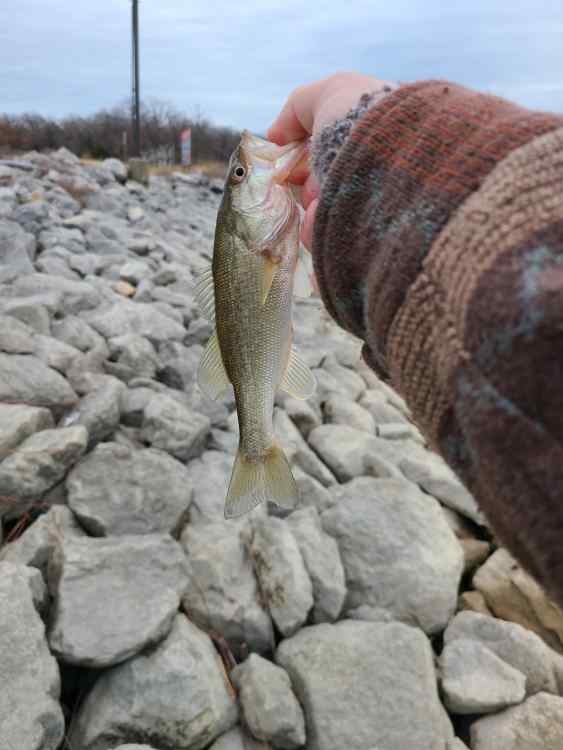 20230117_154711.jpg