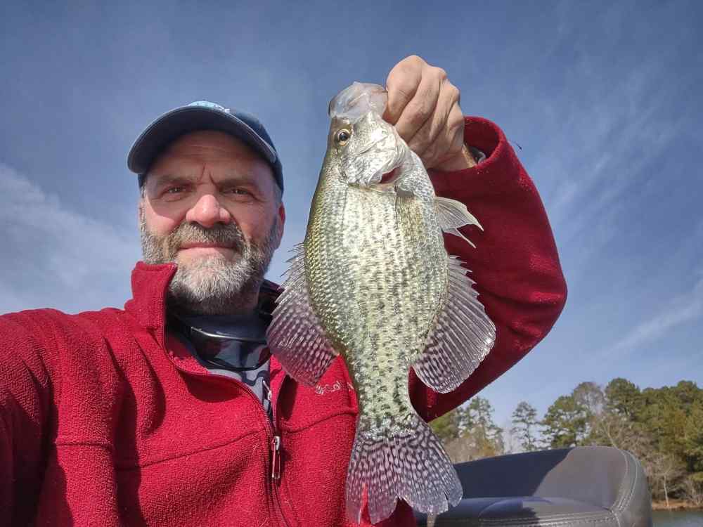 Black Crappie.jpg